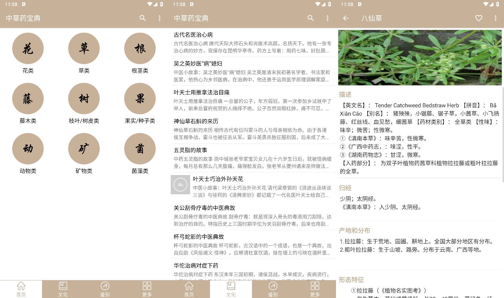 安卓中草药宝典v2.6.12纯净版-Aⁿ-次方